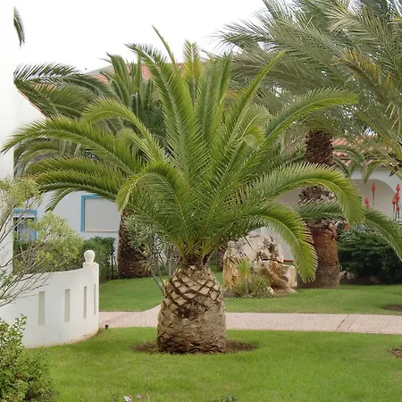 Ponta Grande Carvoeiro Ferienpark 3*